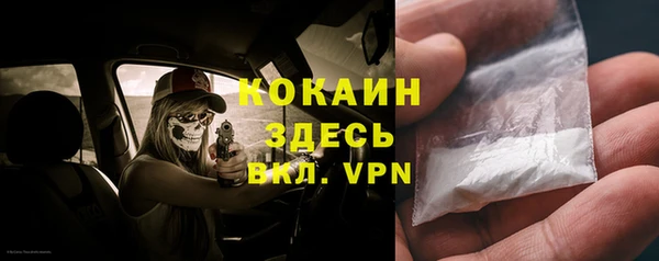 apvp Алексин