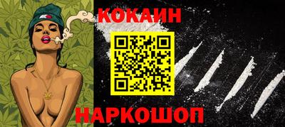 крисы Кулебаки