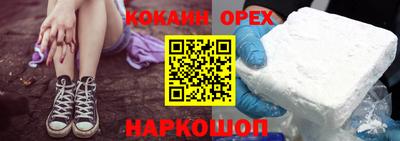 крисы Кулебаки