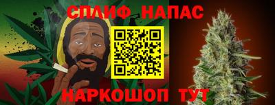 крисы Кулебаки