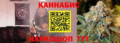 крисы Кулебаки