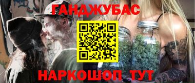 крисы Кулебаки