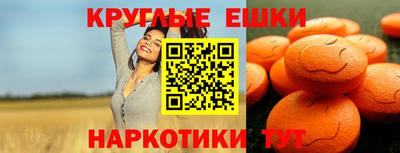 крисы Кулебаки