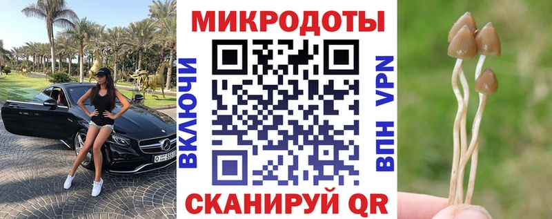 Псилоцибиновые грибы MAGIC MUSHROOMS  MEGA ссылка  Кандалакша 