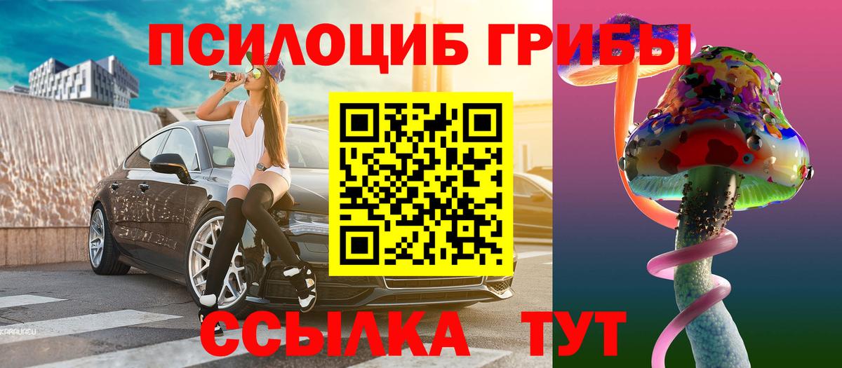Псилоцибиновые грибы мицелий Кандалакша