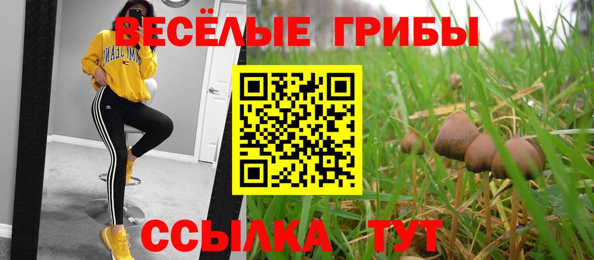 Кандалакша  Псилоцибиновые грибы Psilocybine cubensis  Вход с VPN 